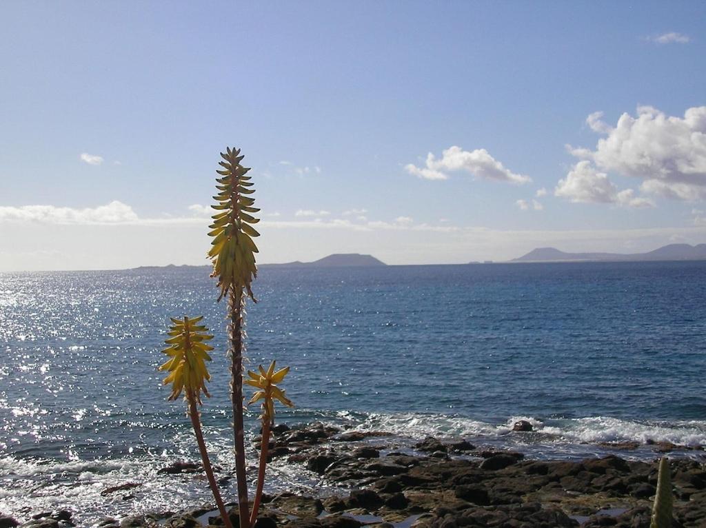 Casa Aguamarina 23B Villa Playa Blanca  Luaran gambar